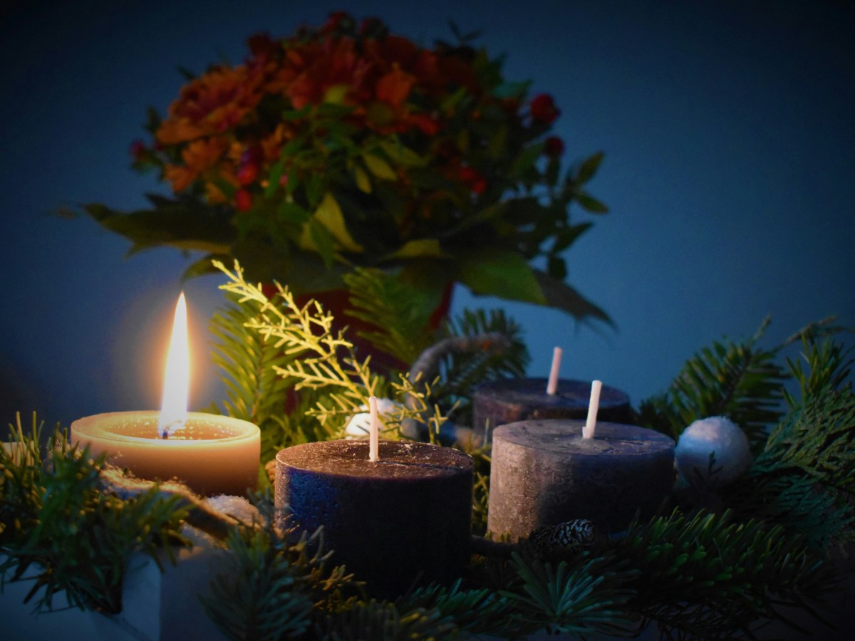 Se, din Konge kommer til dig – Prædiken – 1. s. i&nbsp;Advent